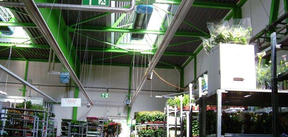 Fachmarkt für Pflanzen mit OPTIMA plus Dunkelstrahler von KÜBLER,