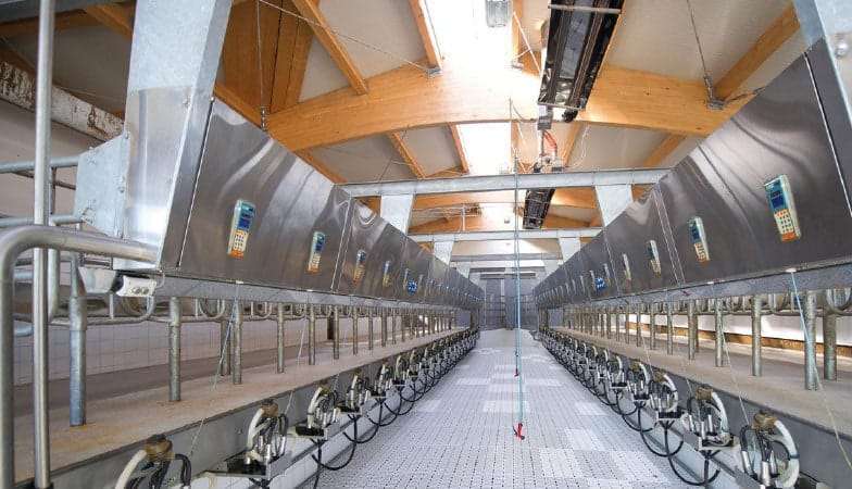 Mit Infrarotsystem von KÜBLER beheizter industrieller Melkstand