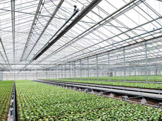 Gewächshaus mit eingebauten Multibrennersystem NRV, dass sich an die Besonderheiten der Halle anpasst