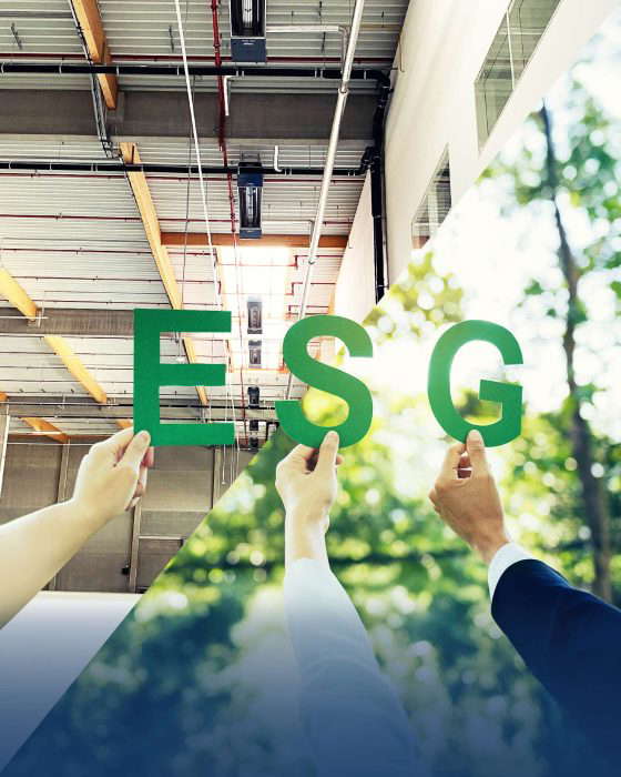 Руки, держащие буквы "ESG" в помещении и на улице